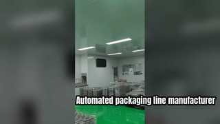 Gelişmiş Üretim İçin Coattech Yüksek Hassasiyetli Temiz Oda Konveyör Paketleme Hattı